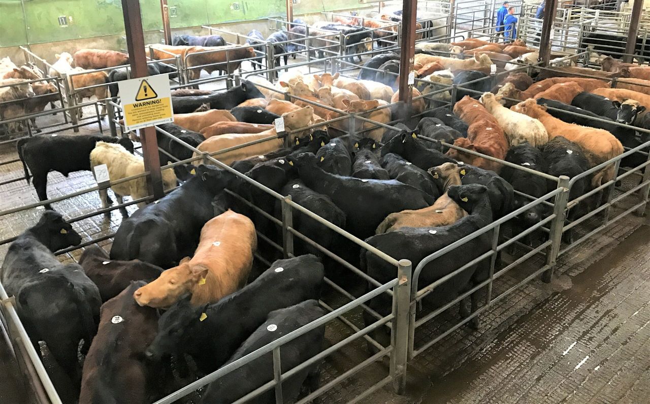 Mart trade: Numbers ease as field work takes priority