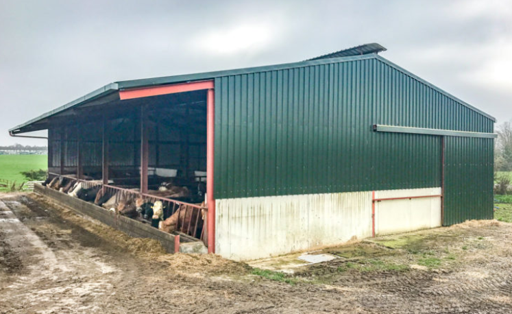 Farmers forced to house: Have you adequate space for your cattle?