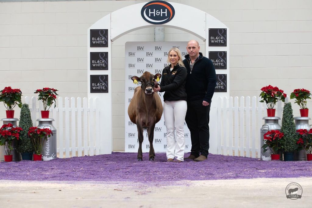Rivermead Addiction Candice sold for 6,500gns