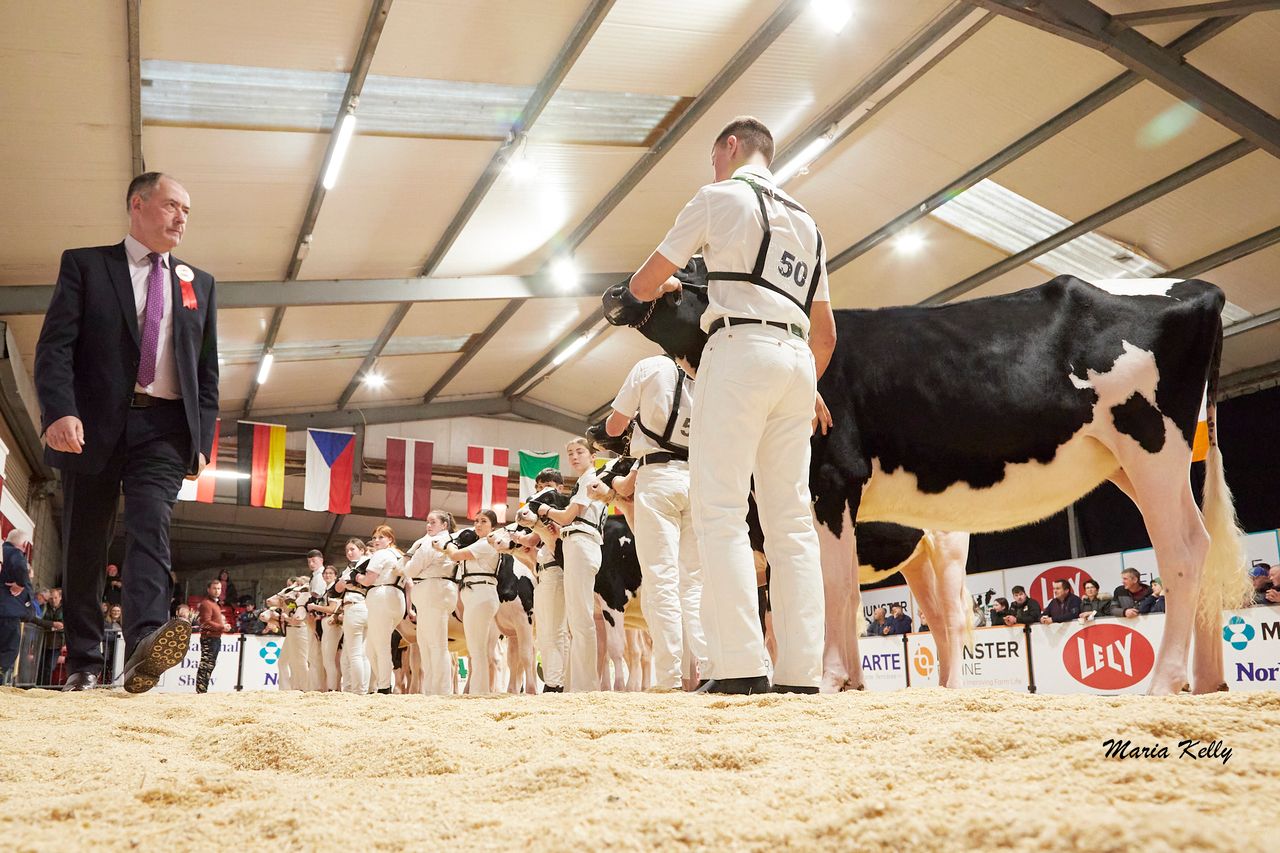 Competitors to travel length of country for AXA National Dairy Show