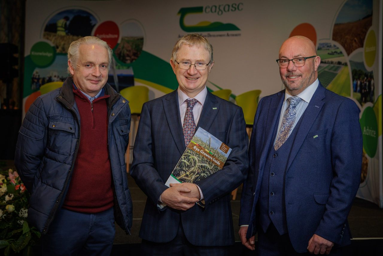 New guide for rye growing launched for tillage farmers
