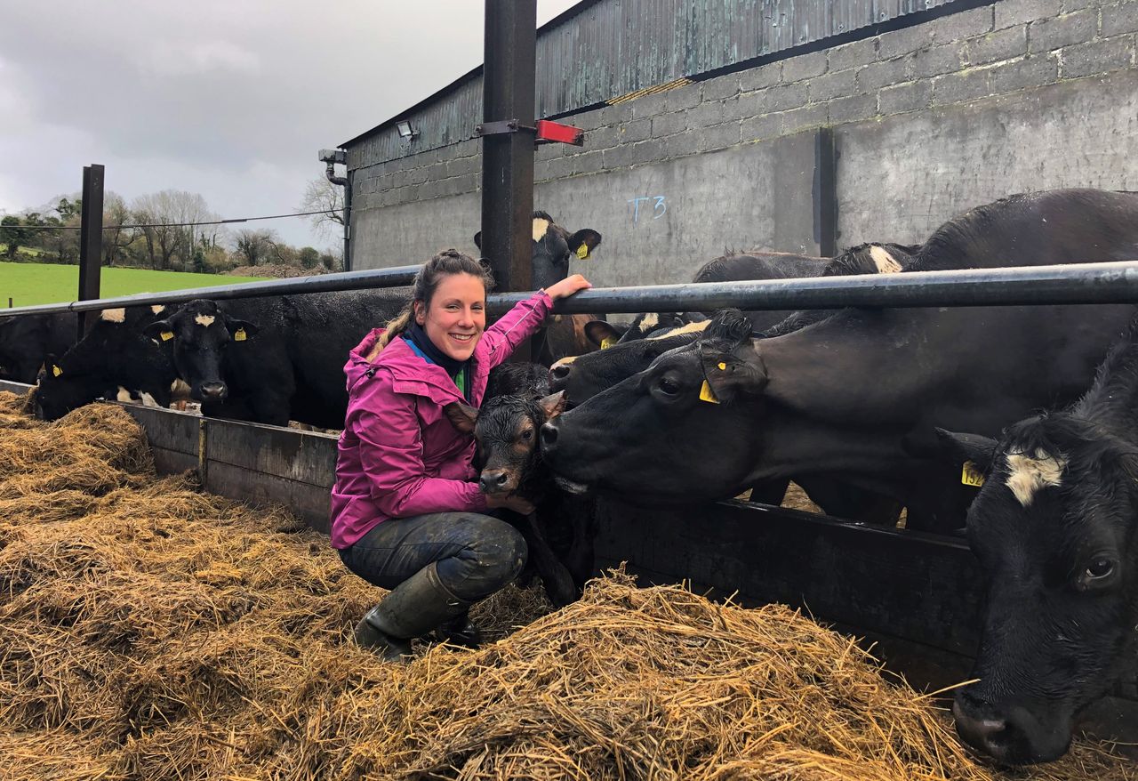 Dairy focus: First experience managing a 290-cow dairy farm in Co. Wexford