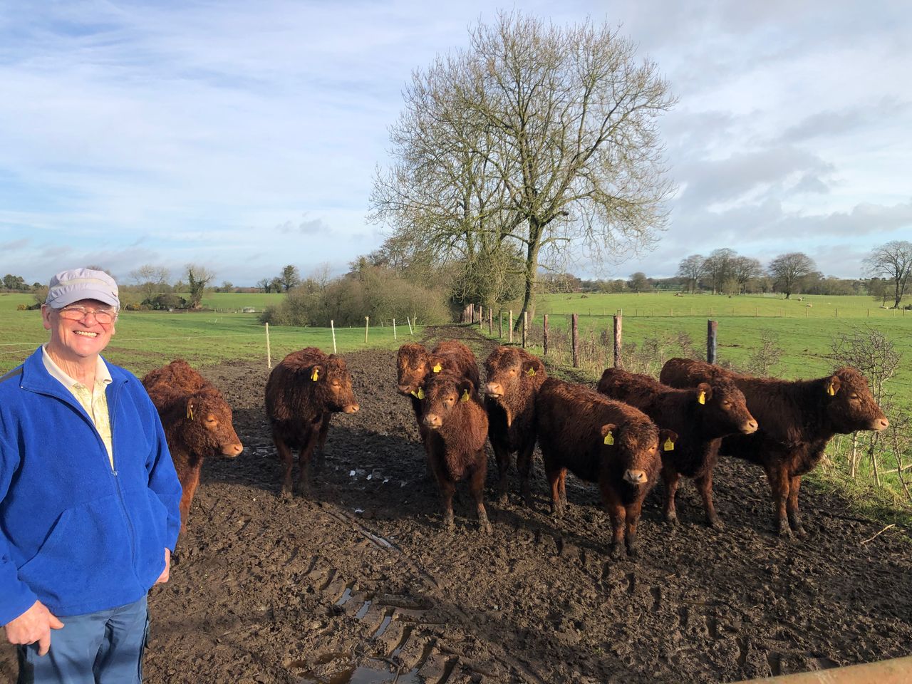 Beef Focus: A move from dairy to Dexter on 20ac Westmeath farm