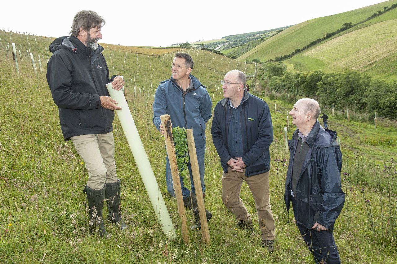 Agroforestry event outlines the benefits of silvopasture