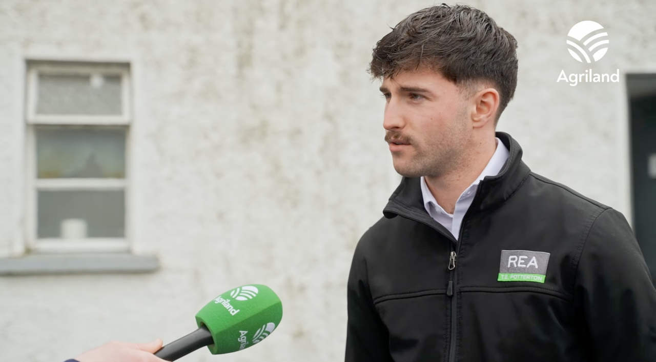 Friesian bulls calves hit €400 at Delvin Mart's first calf sale of 2026 despite bluetongue threat