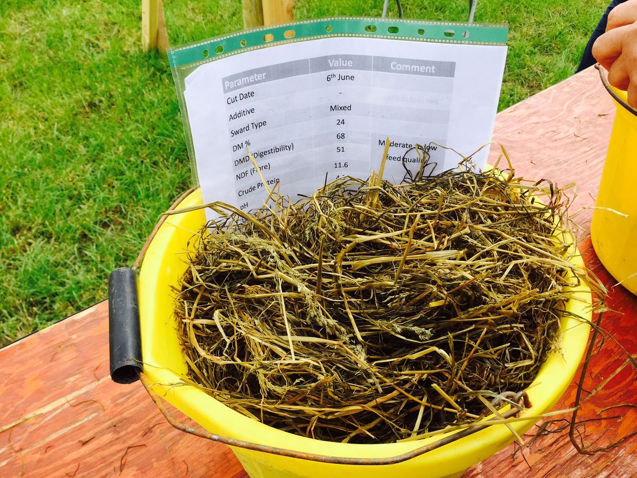 Silage quality shock on the cards for farmers