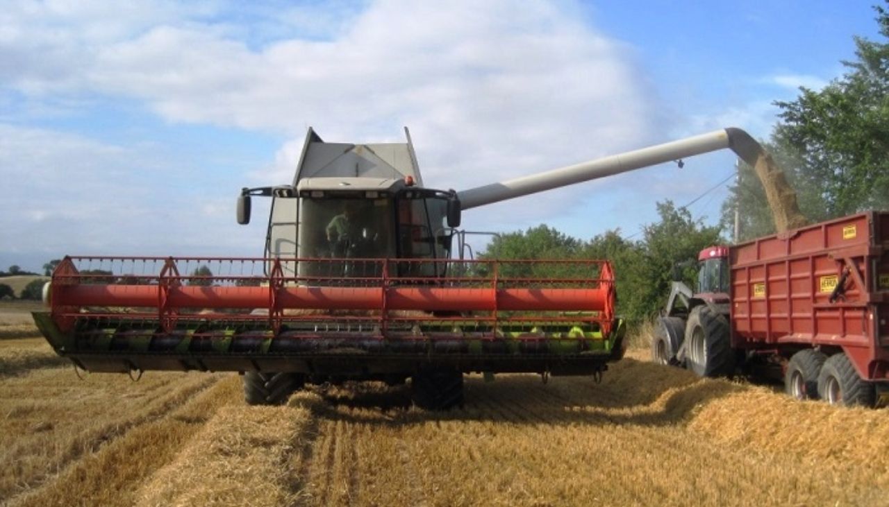 Tillage farmers need '25% increase' in cereal prices in 2026 - IGGG