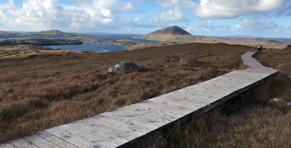 Rhododendron clearance plan announced for Connemara