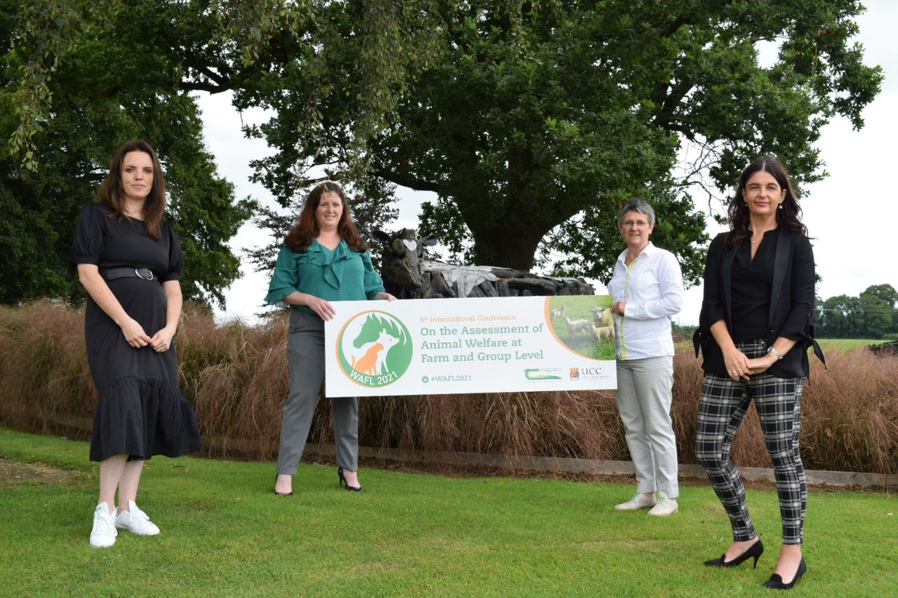 Teagasc and UCC host global animal welfare conference