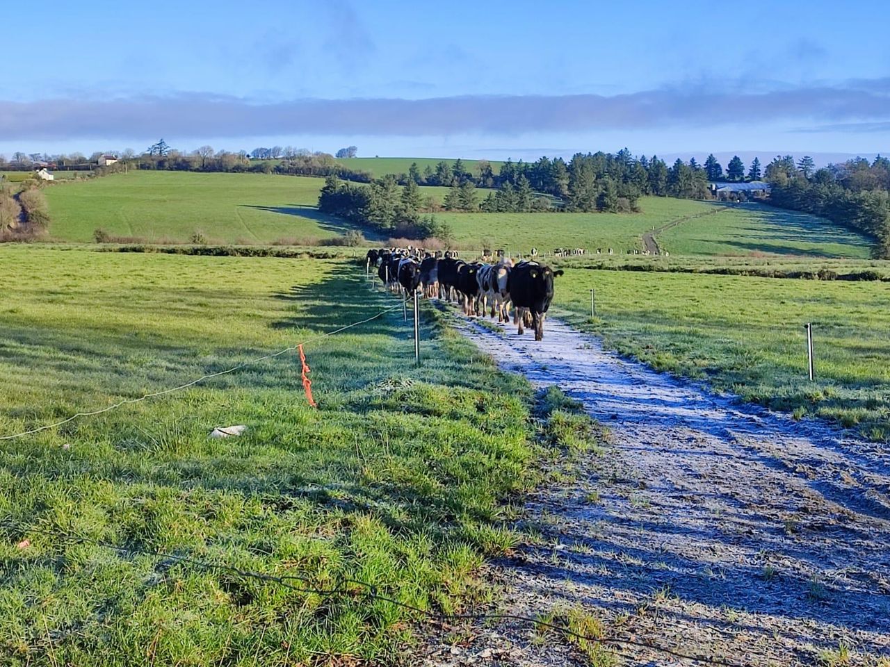 Dairy Focus: Investments saving cows a 5km walk in Cork