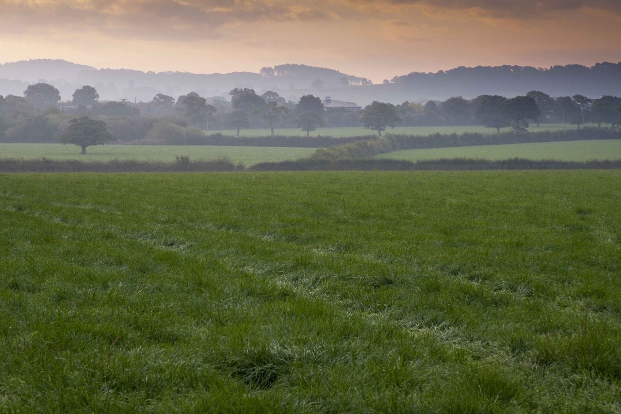 New Germinal varieties on England and Wales recommended list