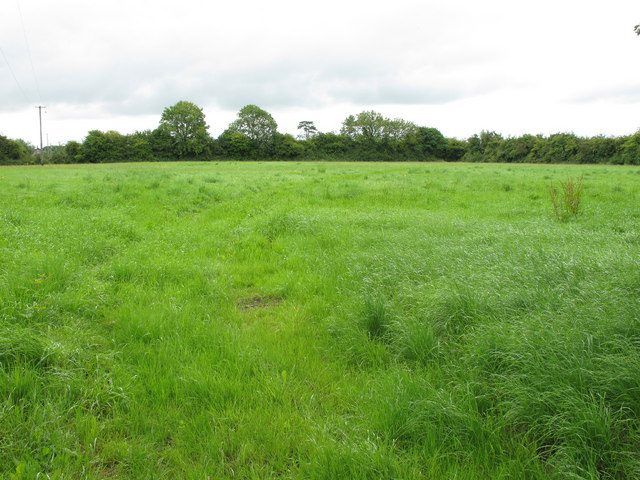 Just 0.5% of Irish agricultural land changed hands in 2016