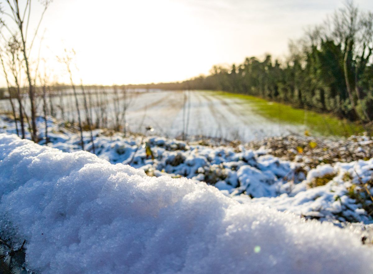 Status Yellow weather warning issued for this weekend
