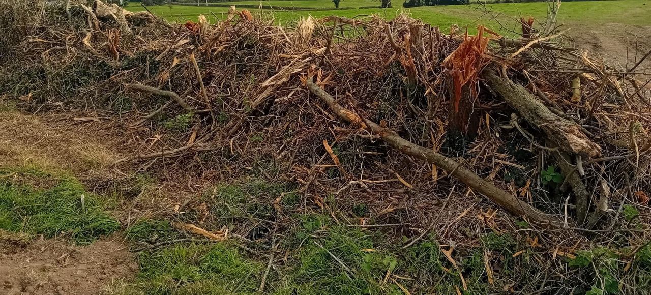Appeal to avoid heavy mulching heads for hedgerow maintenance