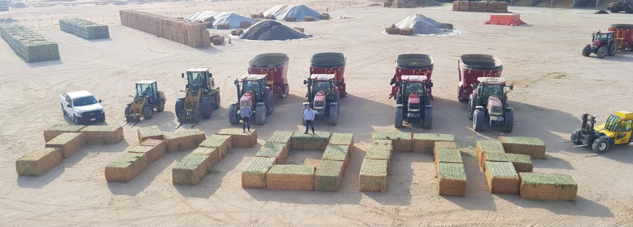 Farmworkers celebrate Tyrone victory... from the desert!