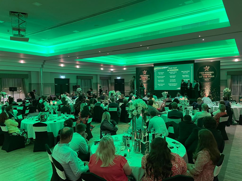 Crowds in attendance at the event