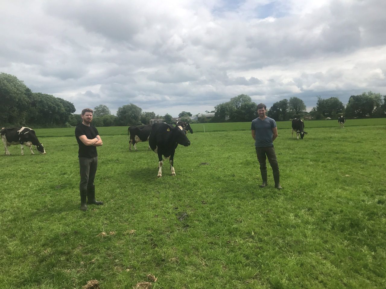 Dairy Focus: Less cows, less milk, more profit in Co. Louth