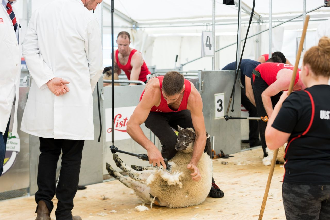 Donegal show to host international sheep shearing championship