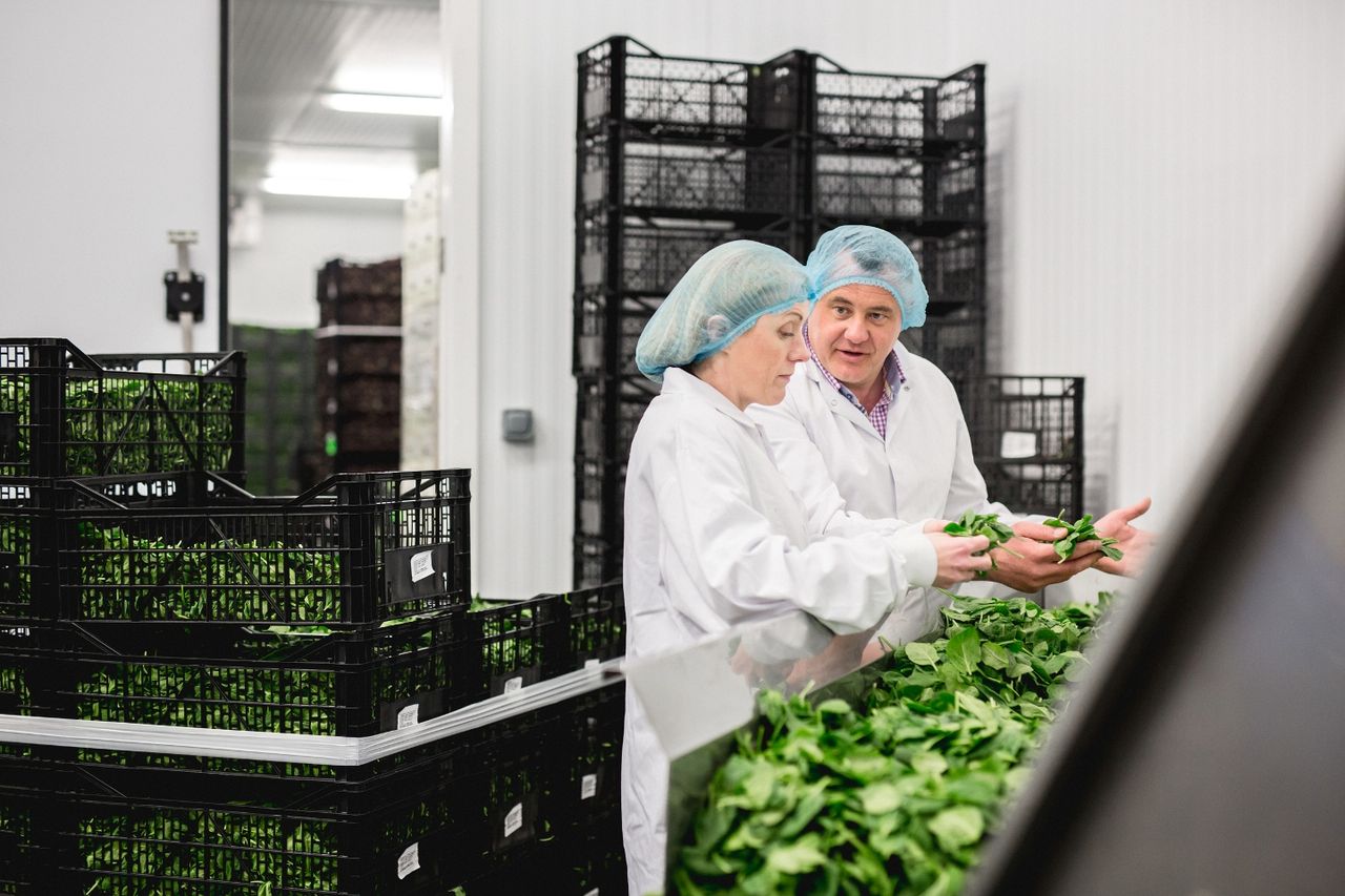 Ulster Bank to invest €2.1m in Meath juice business