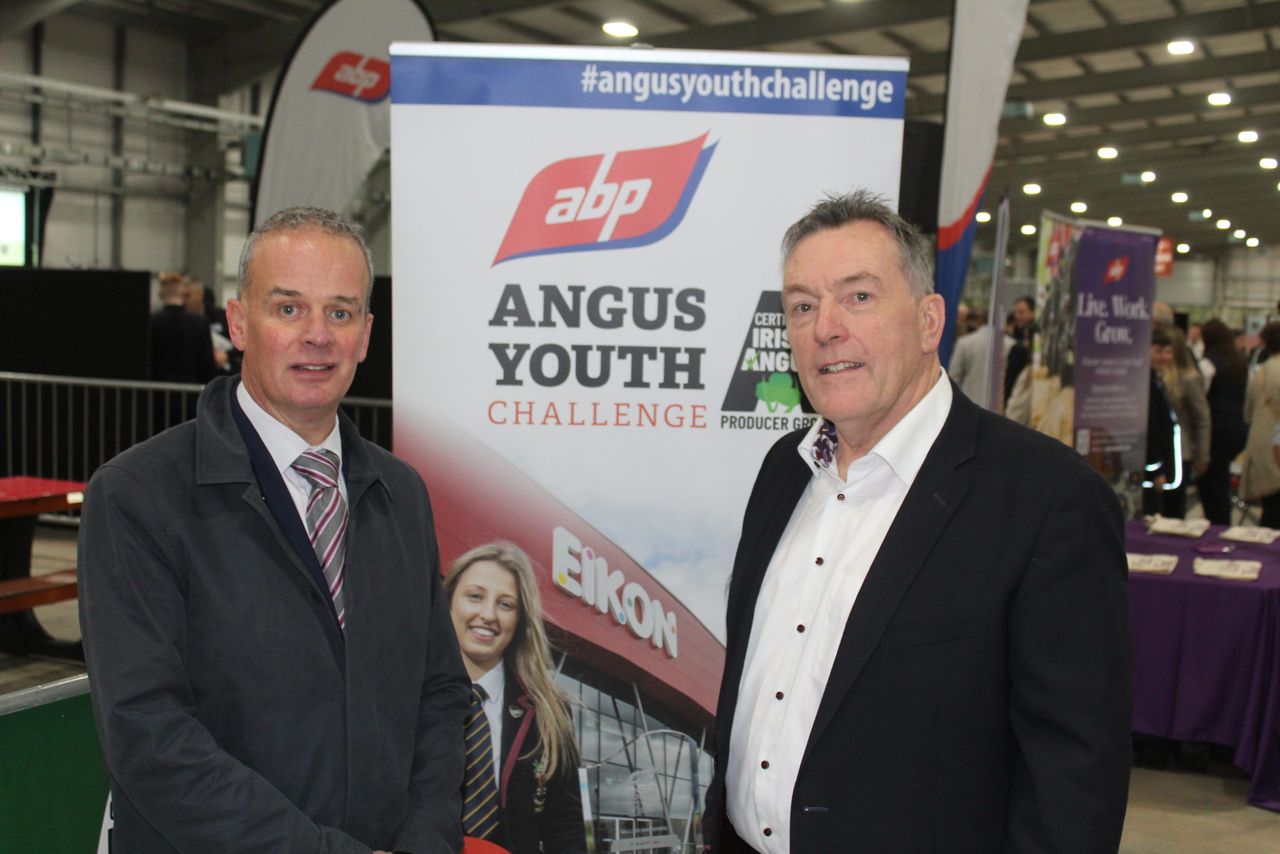 Red meat sector needs 'young people from every walk of life' - ABP NI director