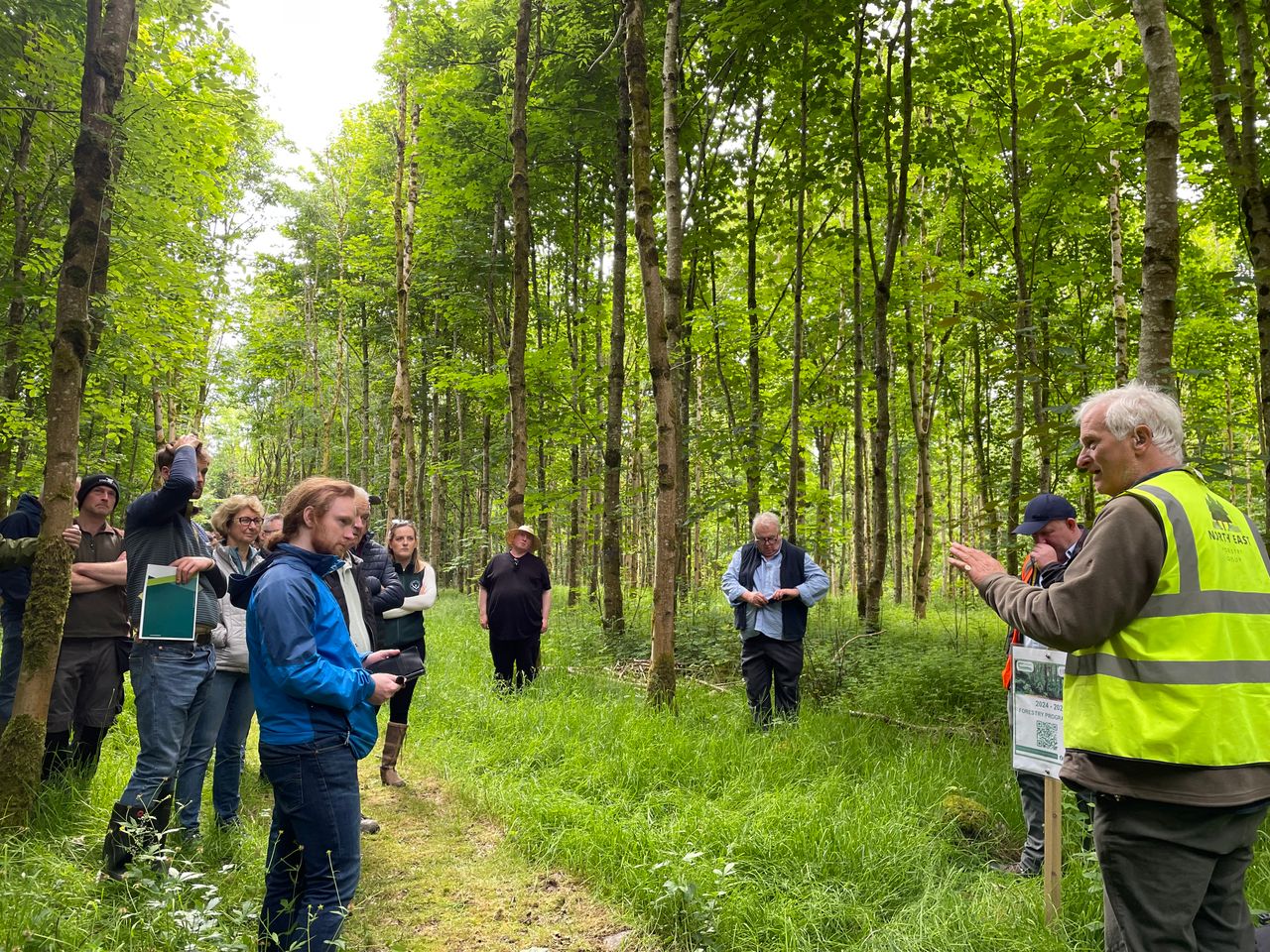 Watch: Organic suckler farming in Cavan with a passion for nature