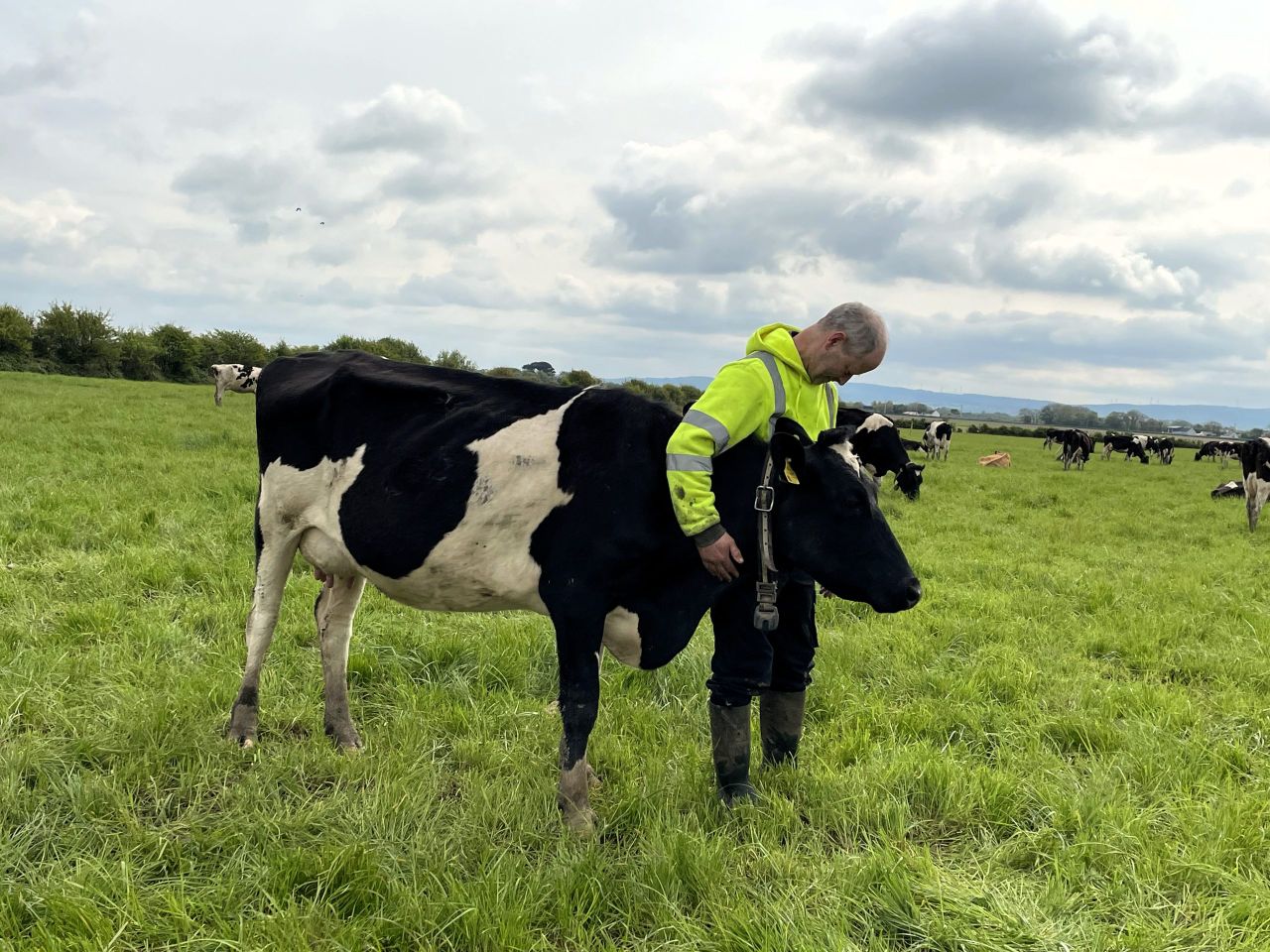 Watch: The Kerry farmer who lost his entire herd to TB