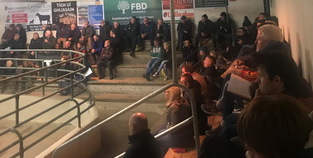 Tips for organic farmers at Sixmilebridge Mart info event