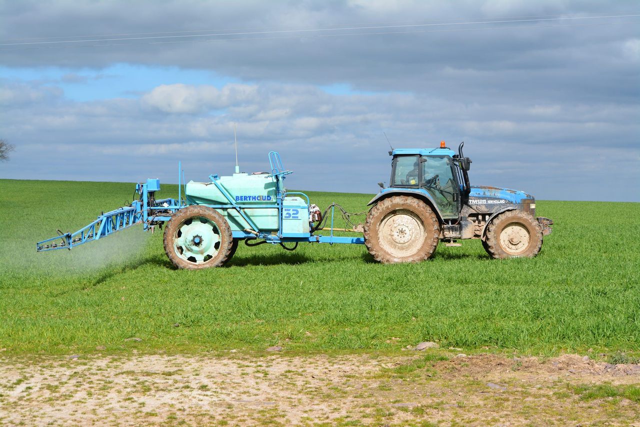 Bayer confirms that ramularia is resistant to most fungicide chemistries