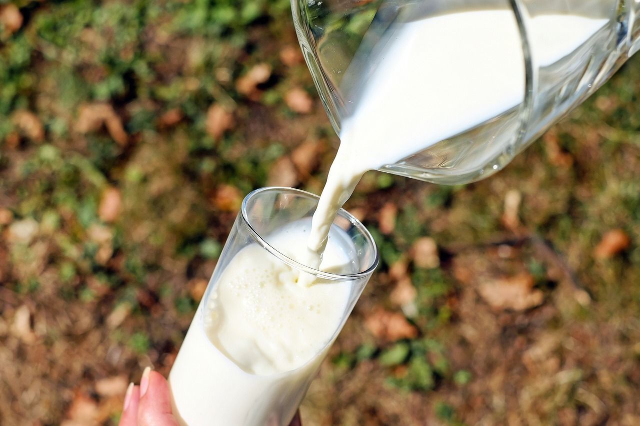 CSO: Consumers paid less for milk and butter but more for cheese in December