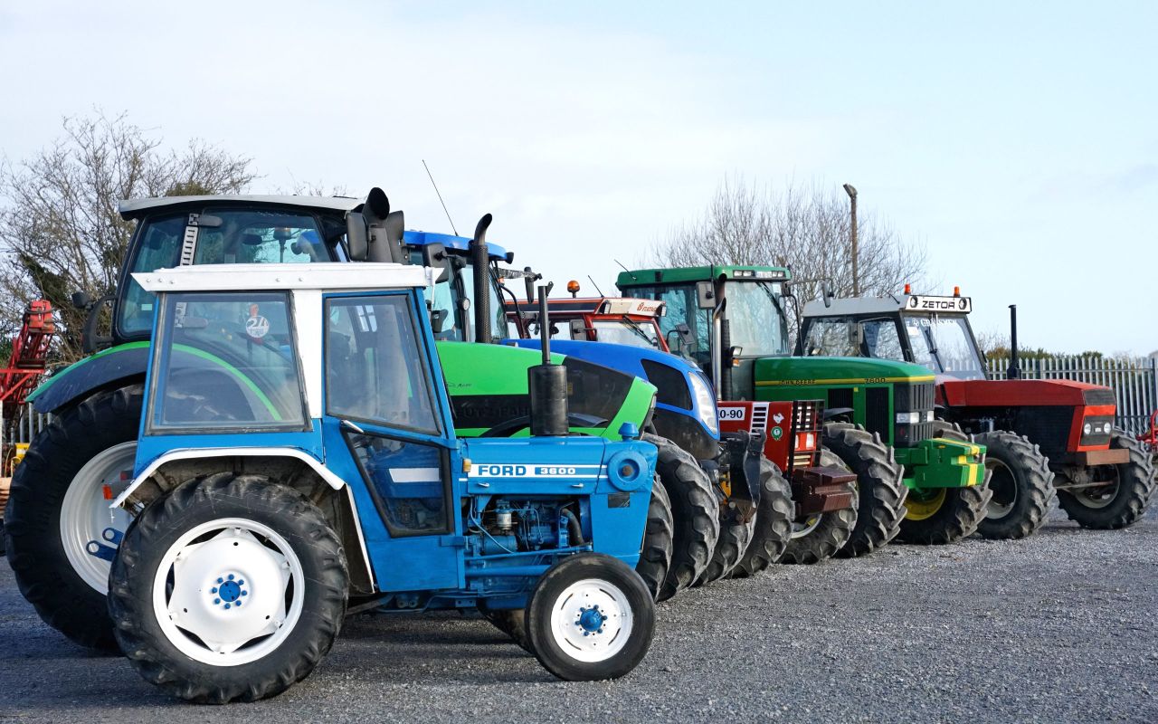 Pics: Power and variety at upcoming Hennessy auction