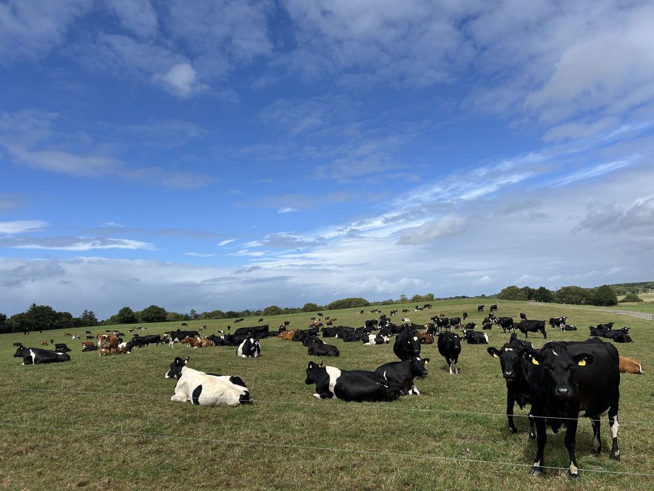 Dairy Focus: Investing in the farm for the next generation in Co. Tipperary