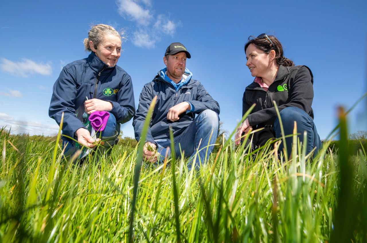 Demand for clover increased while fertiliser prices rose