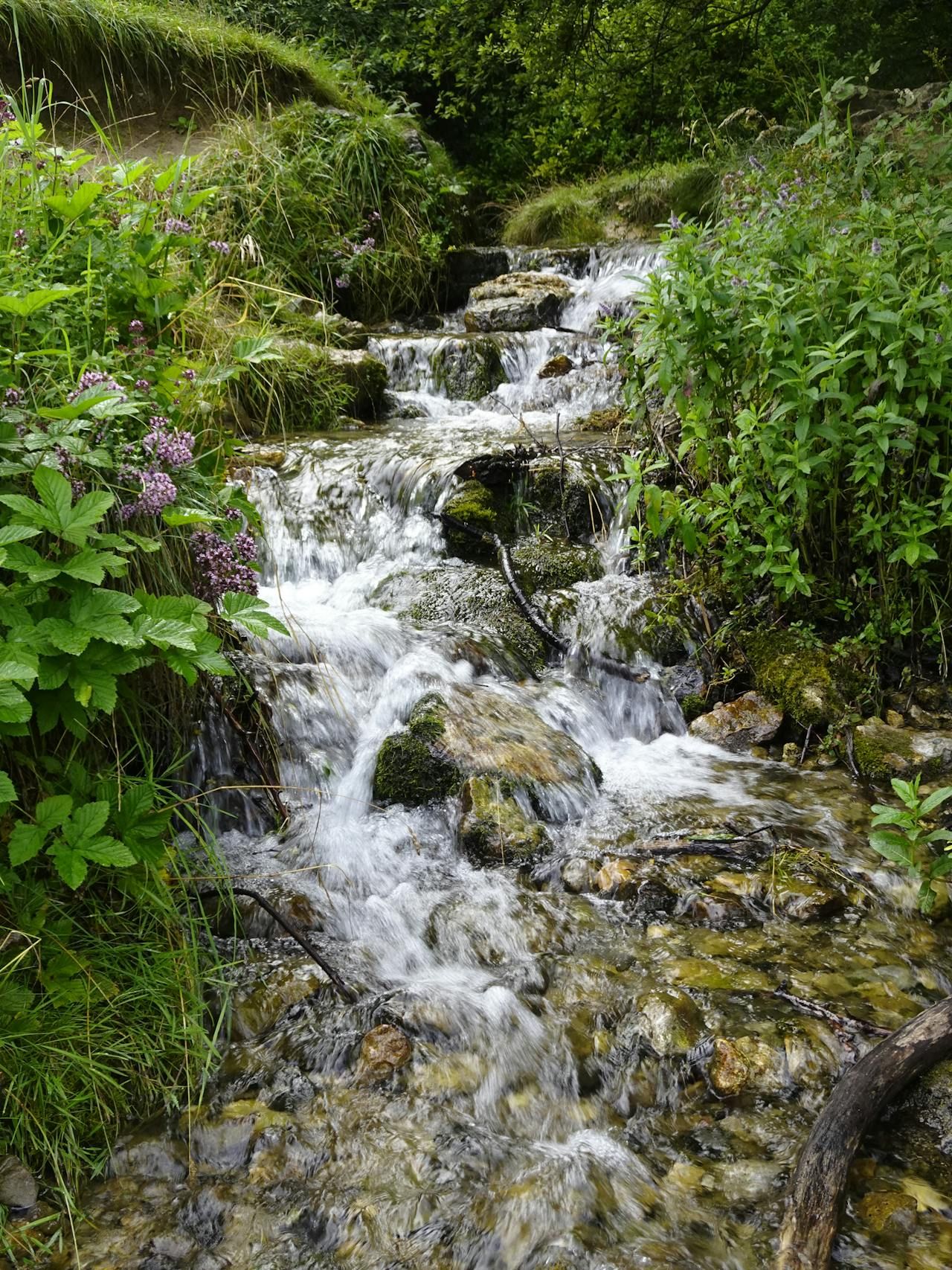 Funding initiative launched to 'improve water quality'