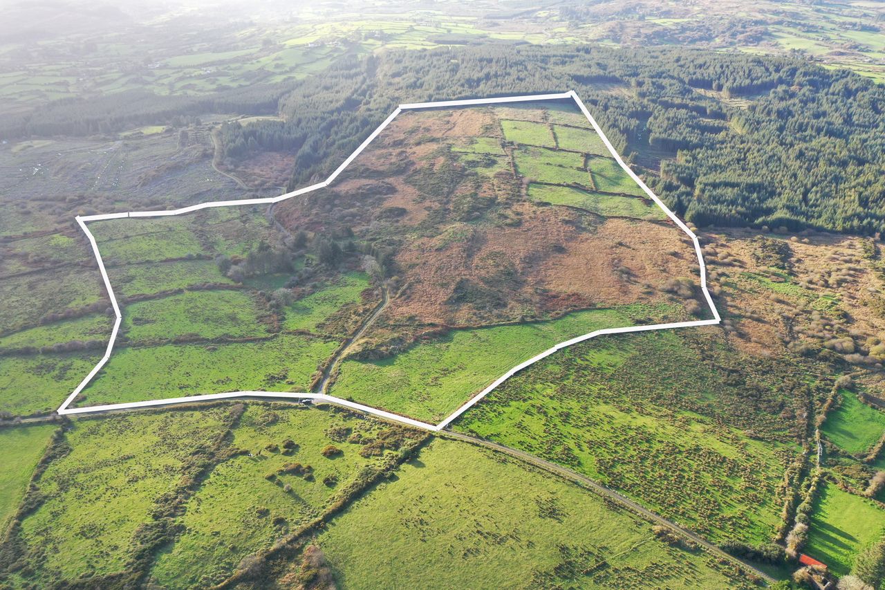 Price tag: 73ac farm in west Cork guiding at €3,424/ac