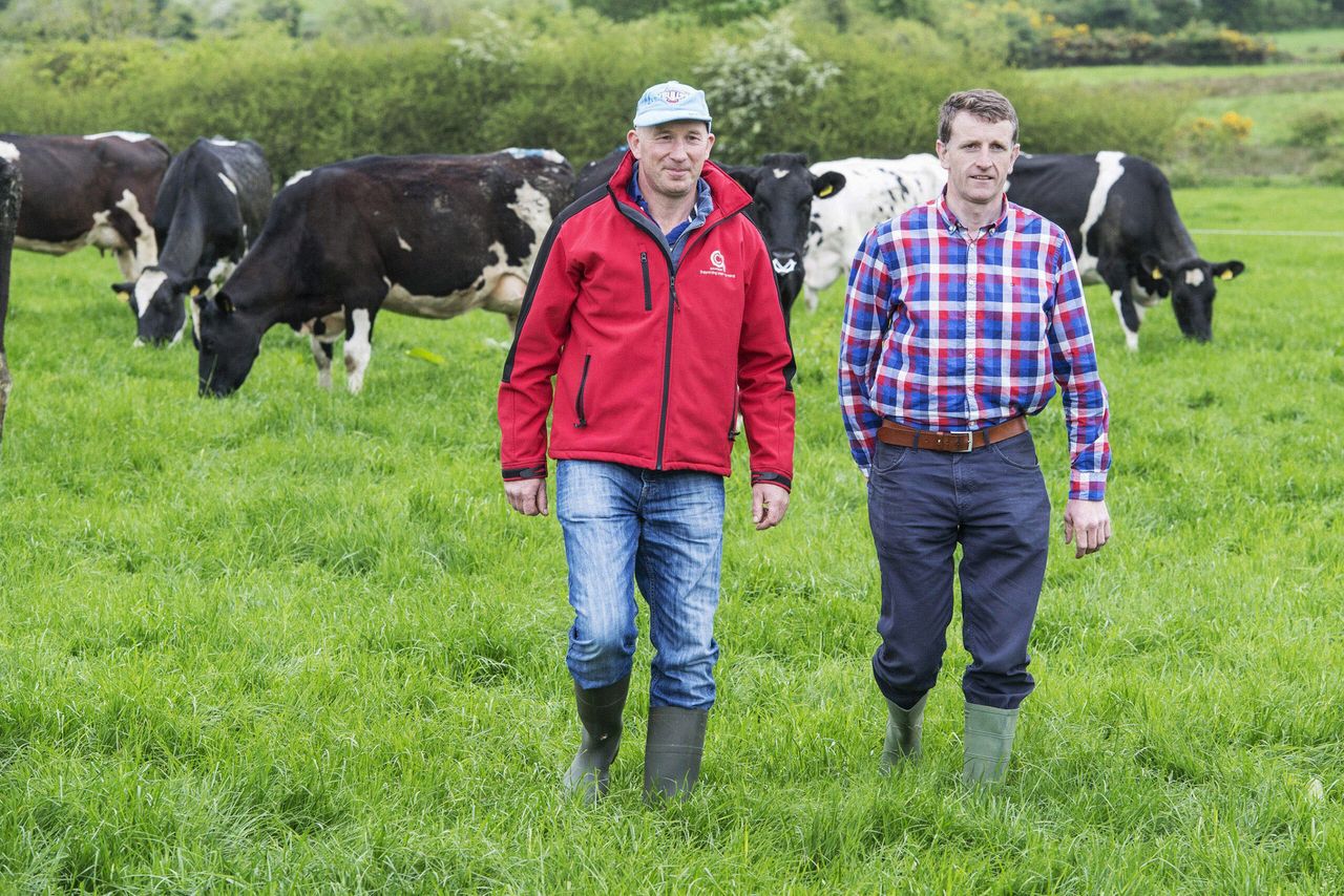 Dairygold announces the winner of its 2015 Milk Quality Awards