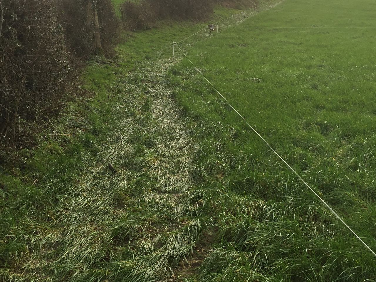Here's why the extra grass on your farm may not be good for your pocket