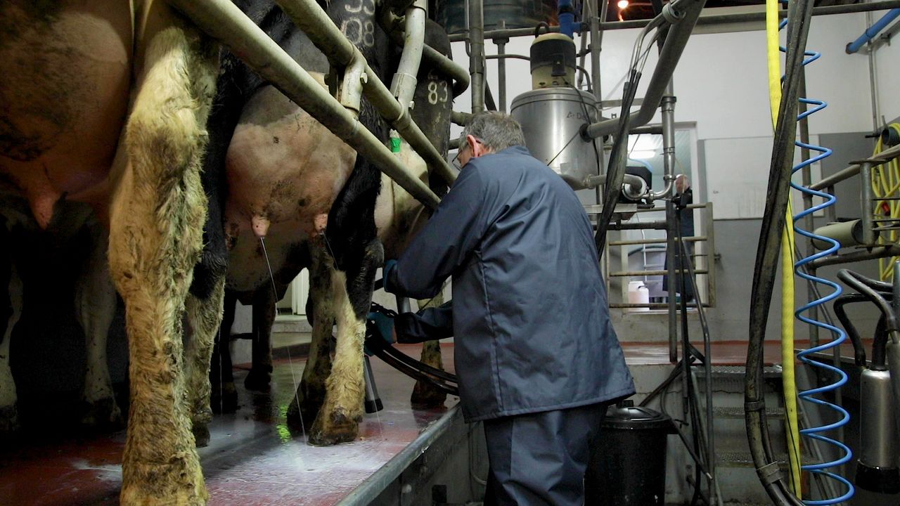 EU dairy farmer group criticises new EU-Australia trade deal