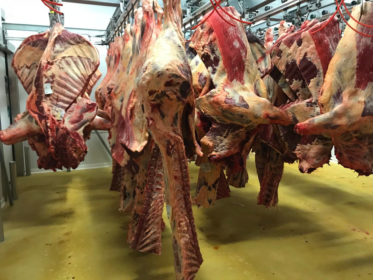 Dawn Meats and Dunbia sign agreement to minimise carcase waste