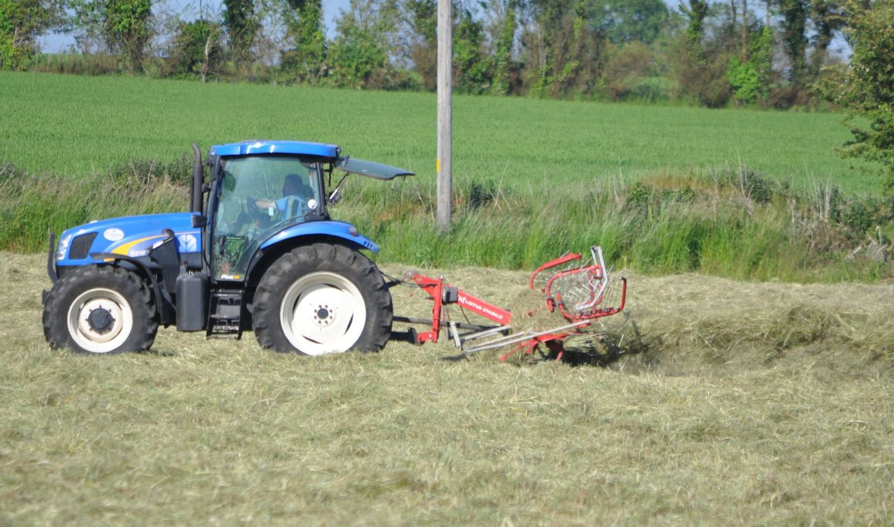Mostly dry weather to last the weekend - Met Éireann