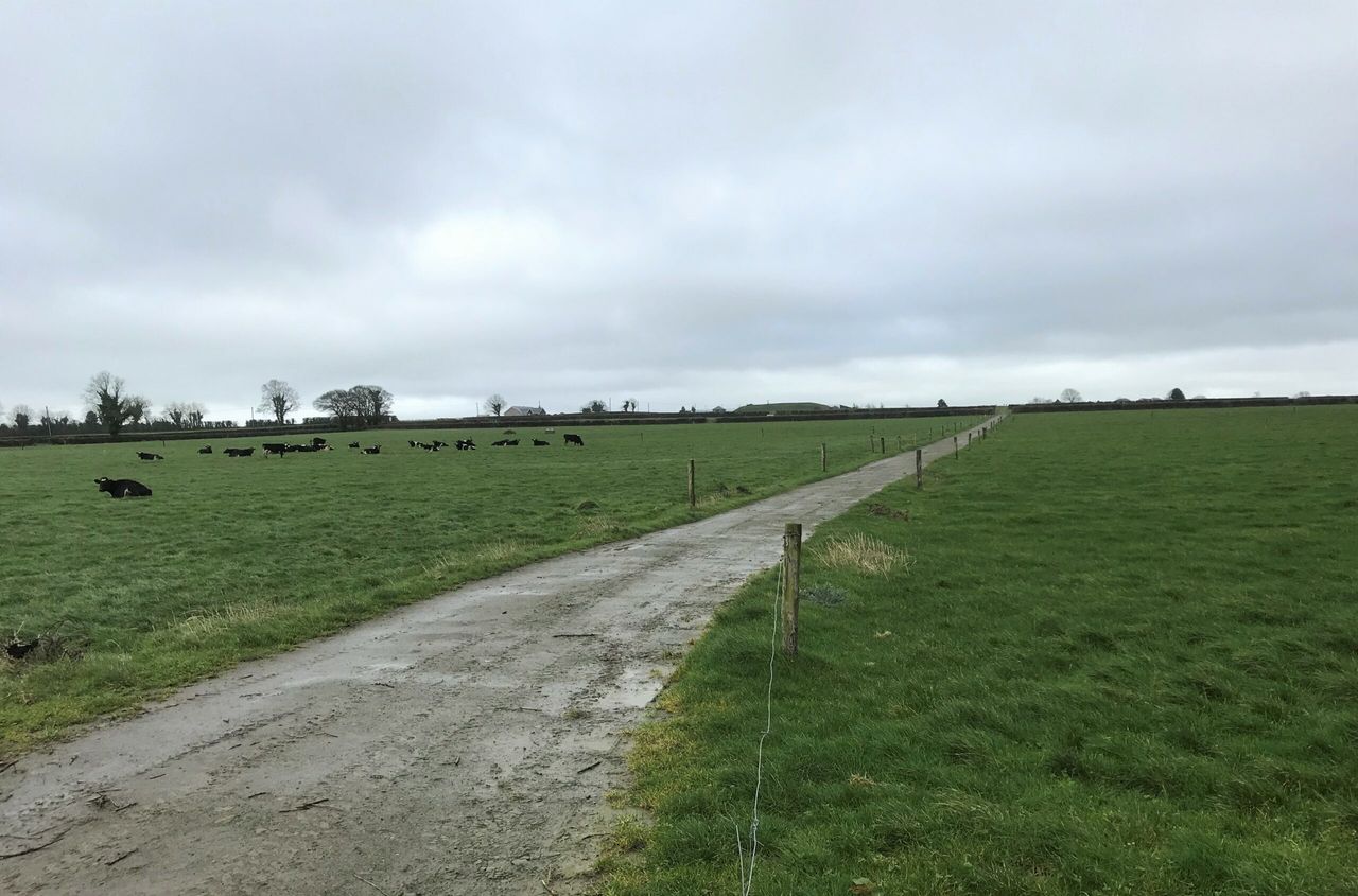 Slowing grass growth and getting 2020 grazing ready