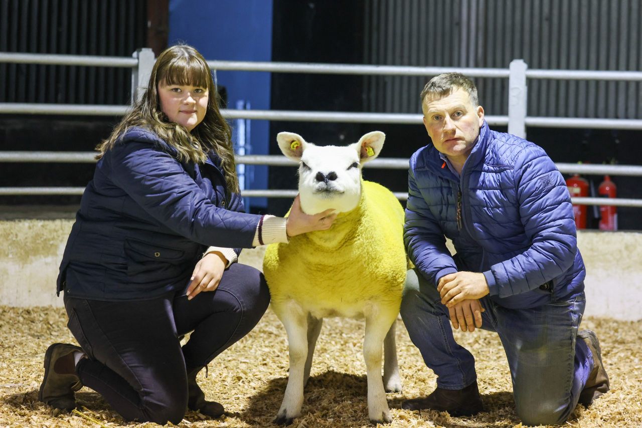 Knockhill flock progeny breaks national record at Tullow sale