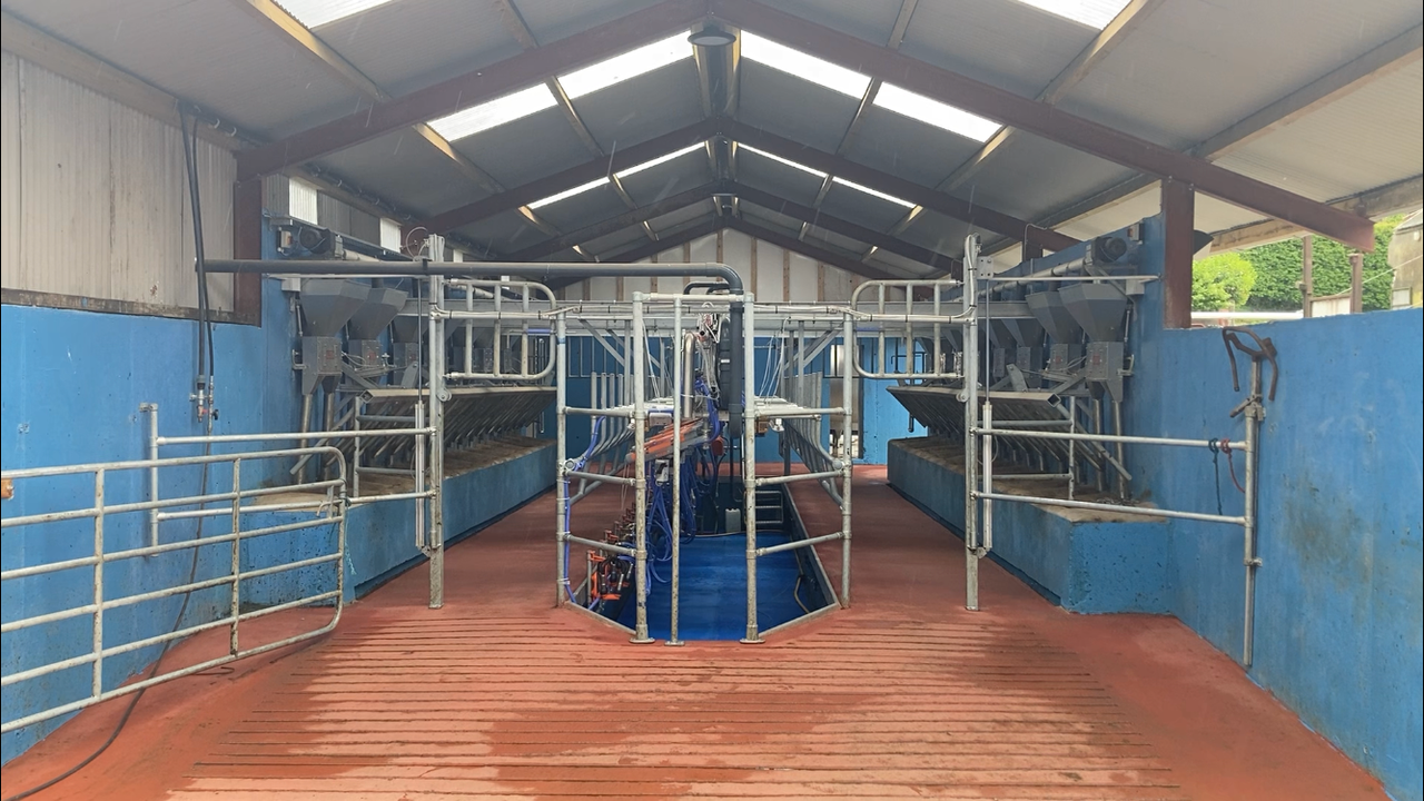 Buildings Focus: 16-unit parlour for 107 cows in Cork