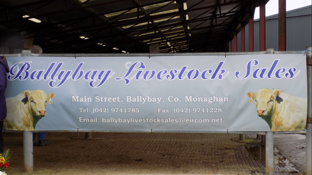 Ballybay Mart: 'Back in business' as sales resume
