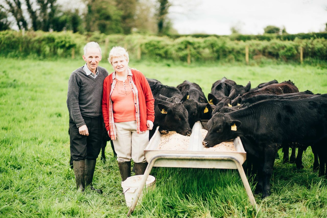 M&S awards recognise best of Northern Irish agriculture
