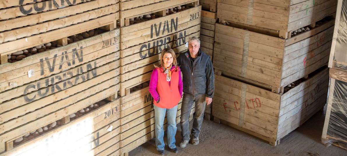 Tillage focus: From field or store, potatoes leave the farm all year round
