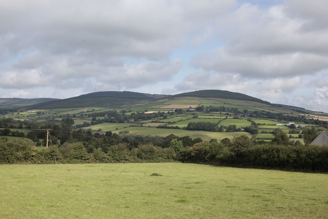 Is additional land 'worth more or less if it can produce less?' - Dr. Patton