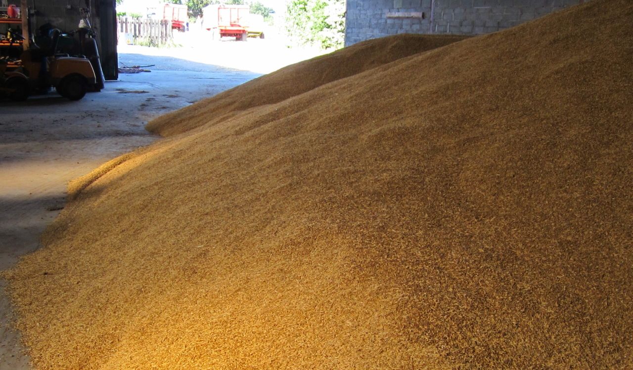 Port of Constanta rises in prominence for grain exports