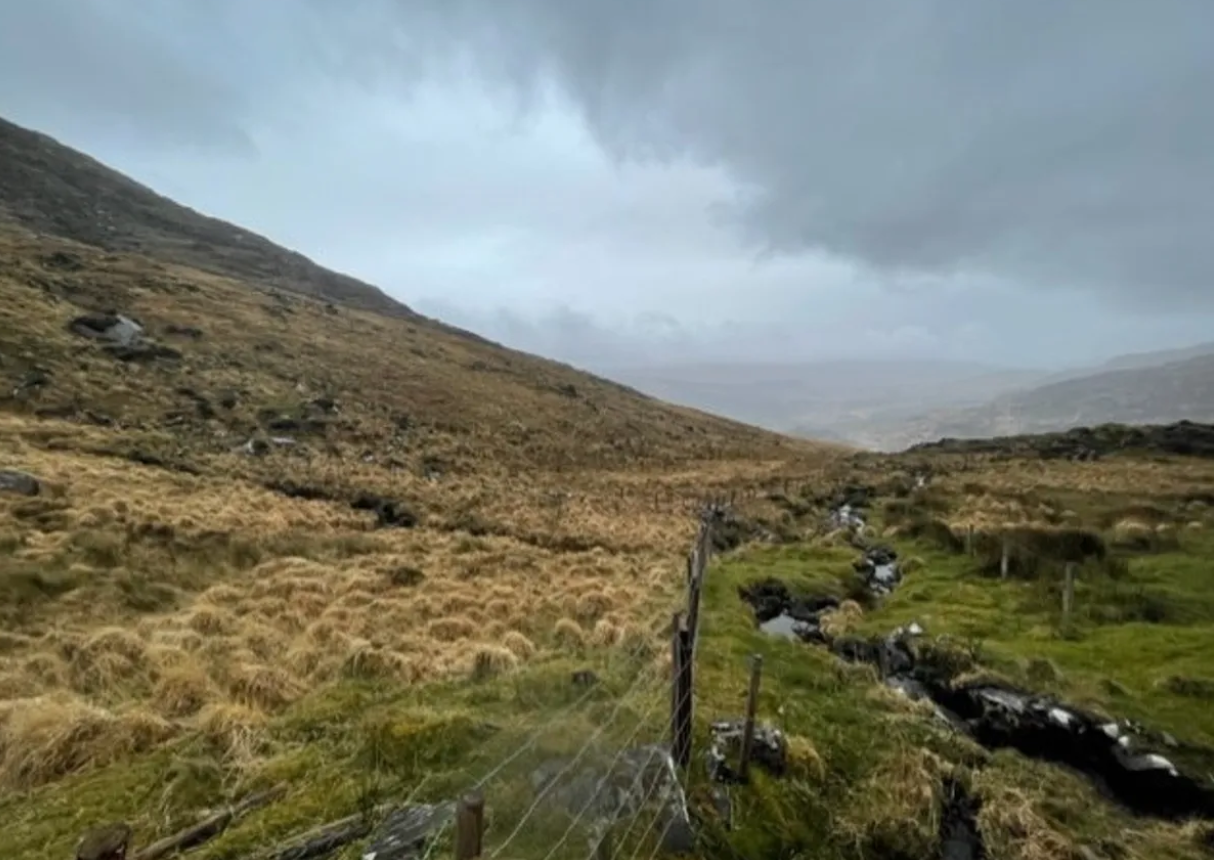 Nature Restoration Law could 'see an end' to hill farming - INHFA