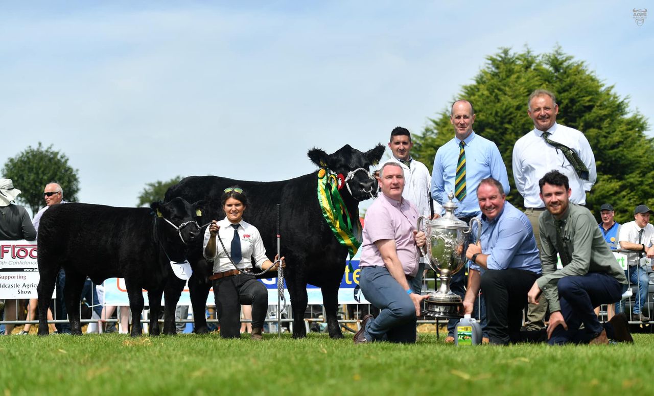 'Special Tinge' named Aberdeen Angus breed champion at Oldcastle Show