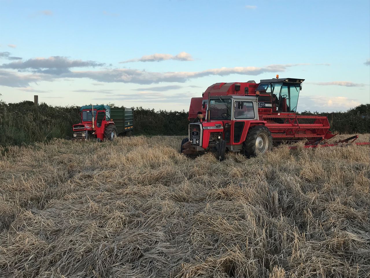Readers' pics: Harvest, ploughing and sunflowers